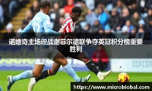 BB贝博登录入口